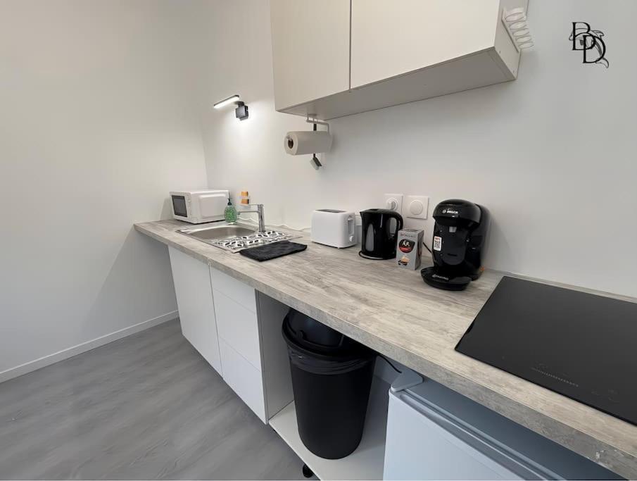 T1 Bis Appartement B3 30M2 Cosy 7Min A Pieds Des Gares Roanne Dış mekan fotoğraf