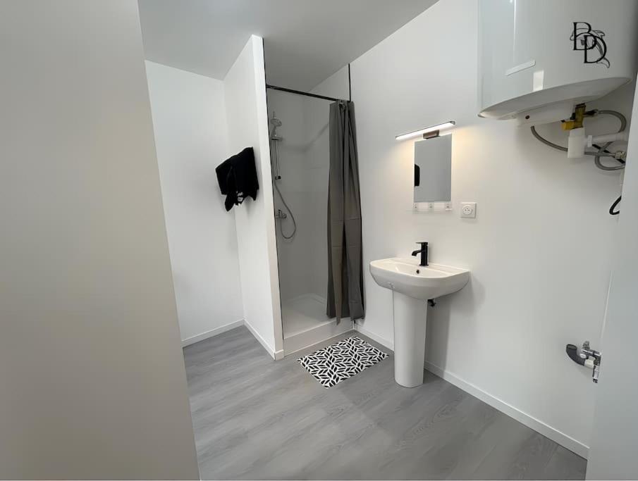 T1 Bis Appartement B3 30M2 Cosy 7Min A Pieds Des Gares Roanne Dış mekan fotoğraf