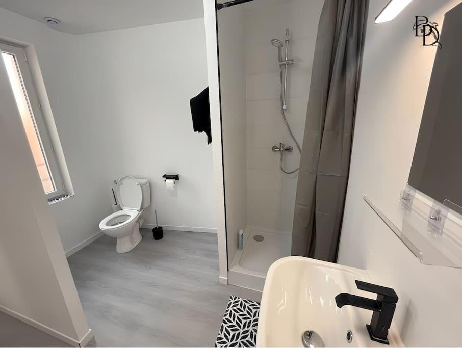 T1 Bis Appartement B3 30M2 Cosy 7Min A Pieds Des Gares Roanne Dış mekan fotoğraf